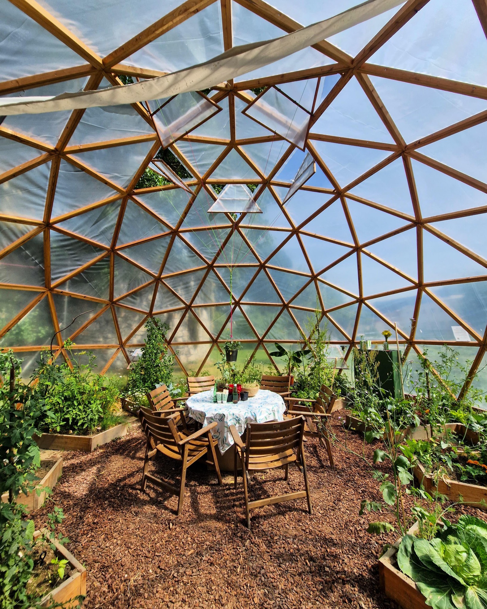 Serre géodésique entourée de végétation luxuriante avec espace de détente naturel