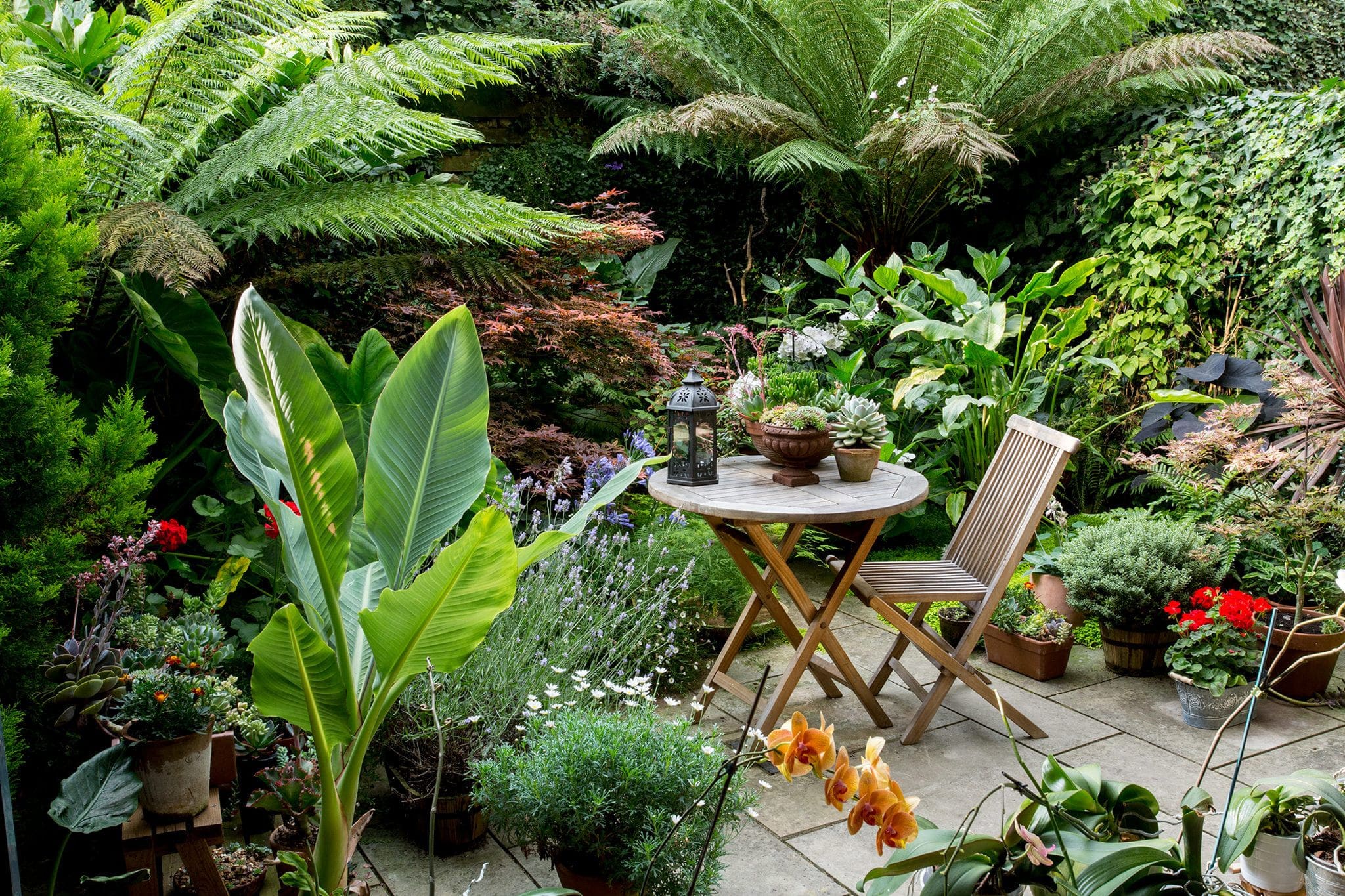 Terrasse luxuriante entourée de plantes tropicales avec table et chaise dans un jardin soigné